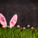 Easter Long Weekend Entertainment